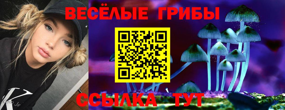 Псилоцибиновые грибы прущие грибы  Вход с VPN  Туапсе 